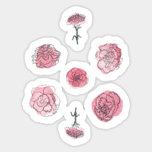 Pink Carnation Sticker Sheet Sticker